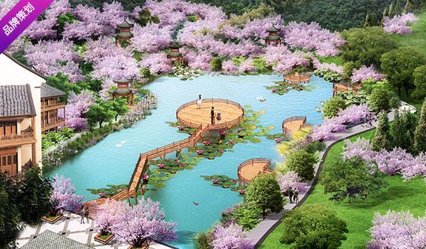 白圣村荷塘规划