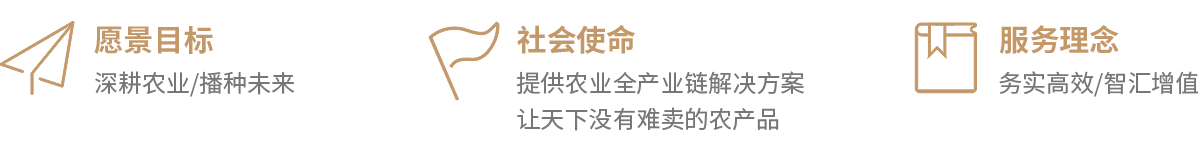公司简介.png